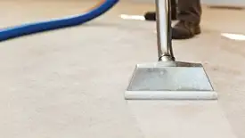 Carpet cleaning wand head gliding over a light carpet during hot-water extraction, Marietta, GA.