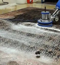Professional rug cleaning with a rotary floor machine and shampoo foam, deep-cleaning an area rug Marietta, GA.